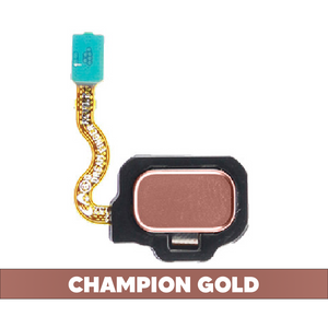 Fingerprint Reader With Flex Cable for Samsung Galaxy S8 / S8 Plus - Champion Gold (OEM)