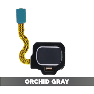 Fingerprint Reader With Flex Cable for Samsung Galaxy S8 / S8 Plus - Orchid Grey (OEM)