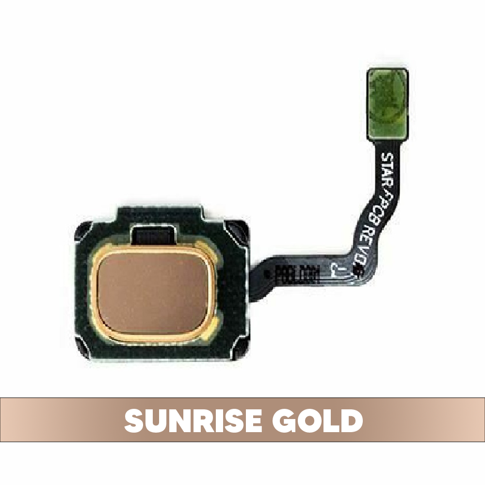 Fingerprint Reader with Flex Cable for Samsung Galaxy S9 G960/ S9 Plus G965 - Sunrise Gold (OEM)