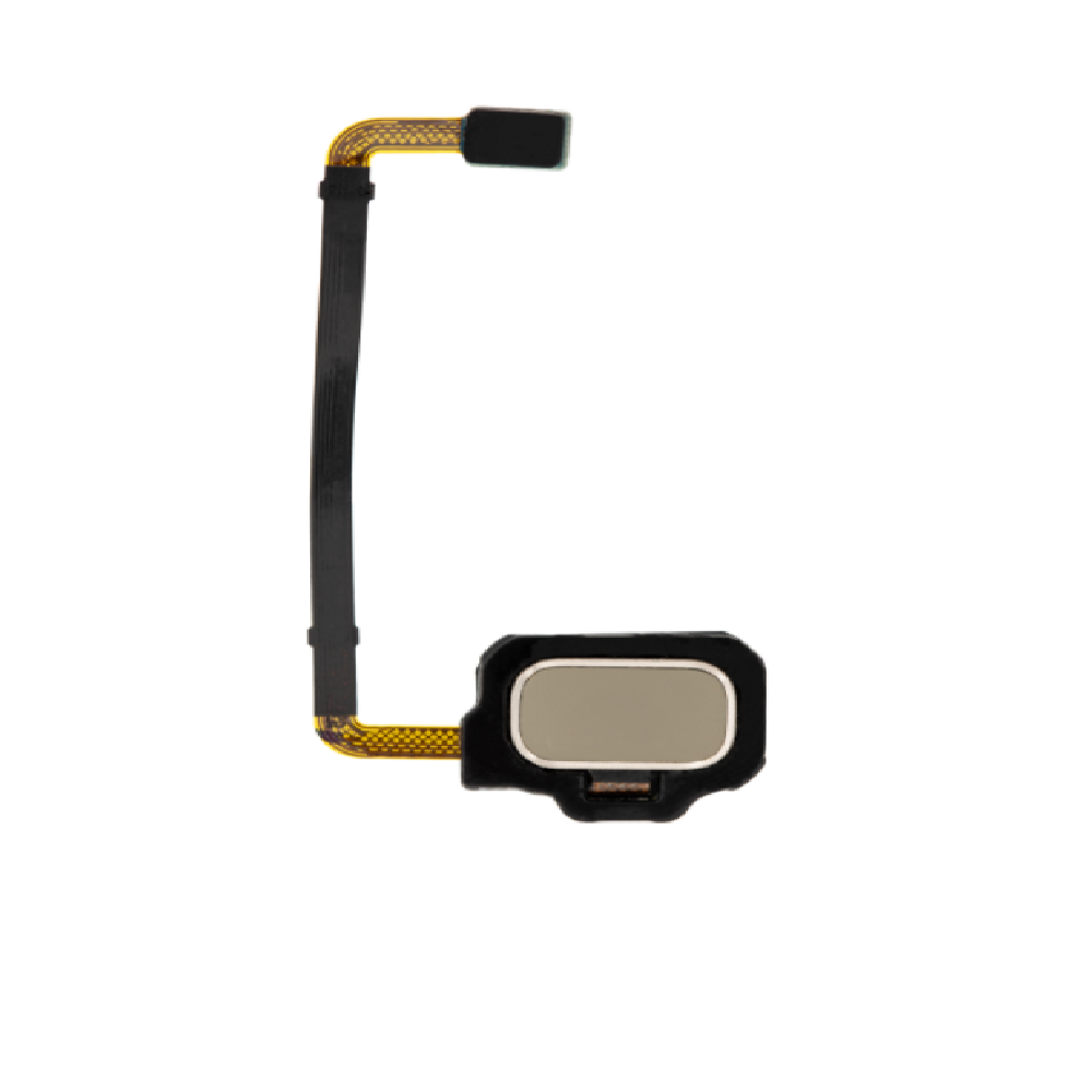 Home Button Flex Cable for Samsung Galaxy S8 Active - Gold
