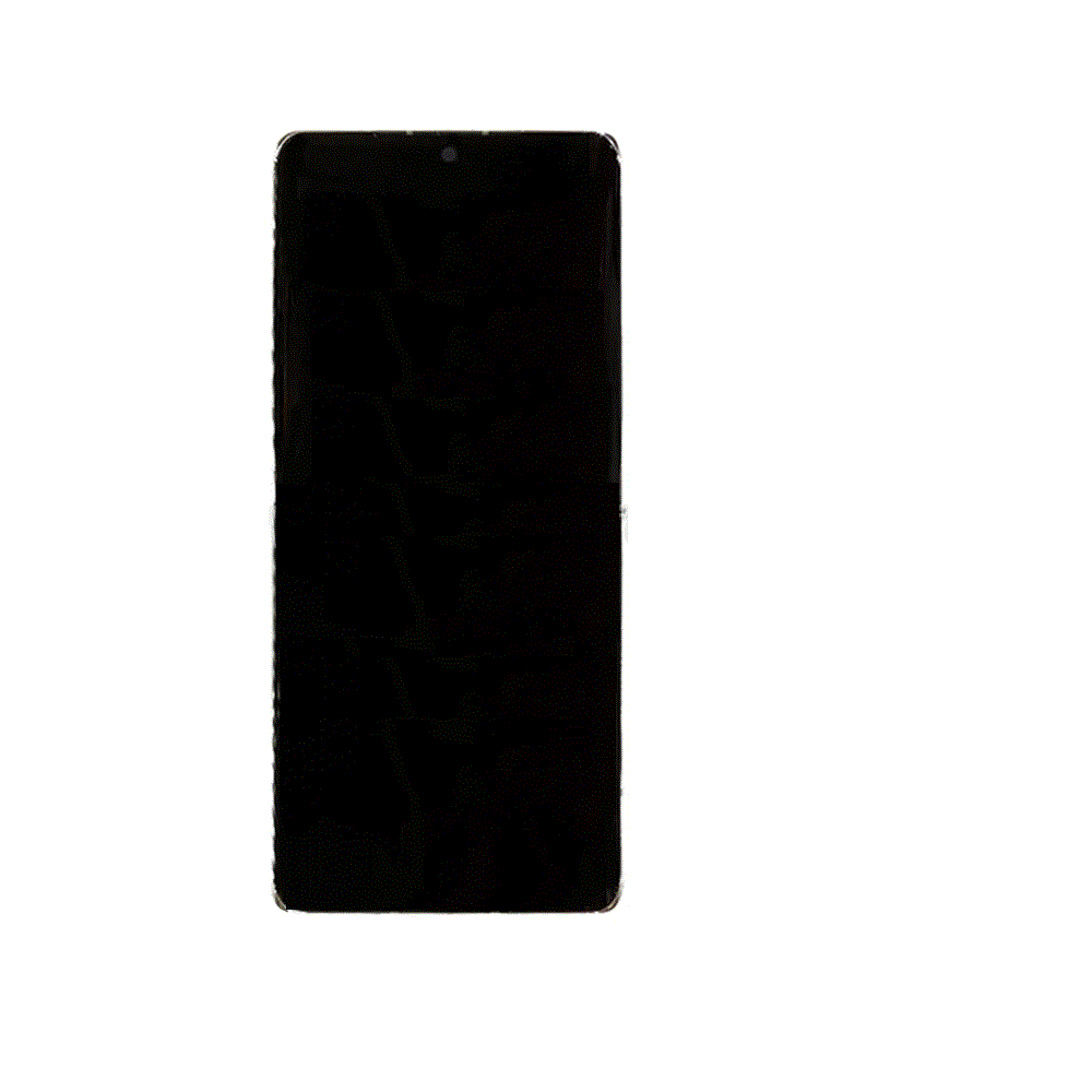LCD and Touch Screen Digitizer without Frame for LG G9 ThinQ  - Black